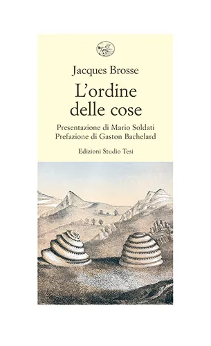 Storie e leggende degli alberi